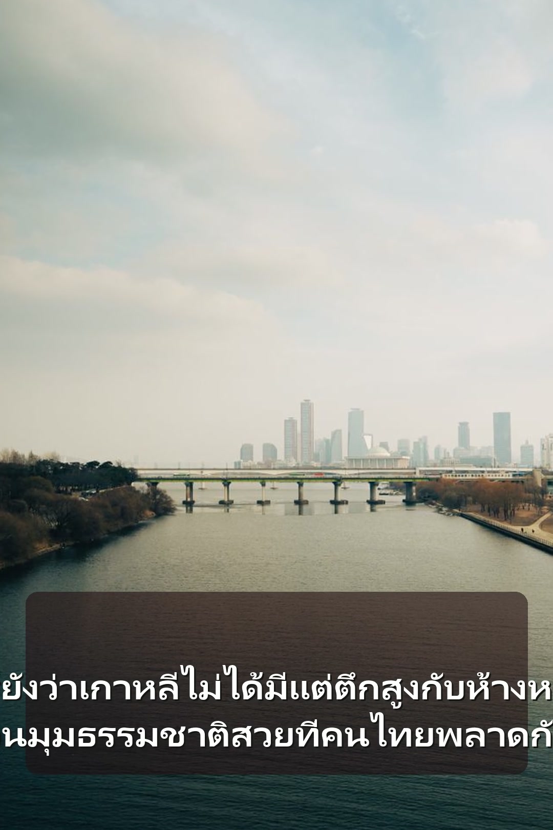 รู้ยังว่าเกาหลีไม่ได้มีแต่ตึกสูงกับห้างหรู แต่ซ่อนมุมธรรมชาติสวยที่คนไทยพลาดกันบ่อย